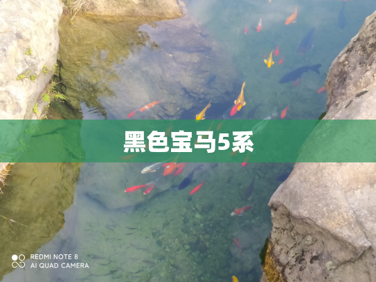 黑色宝马5系