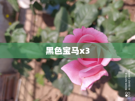 黑色宝马x3