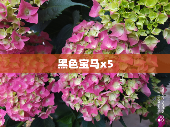 黑色宝马x5
