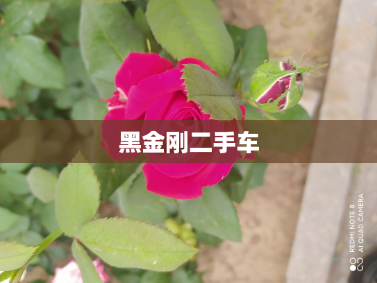 黑金刚二手车