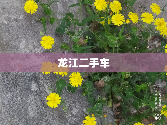 龙江二手车