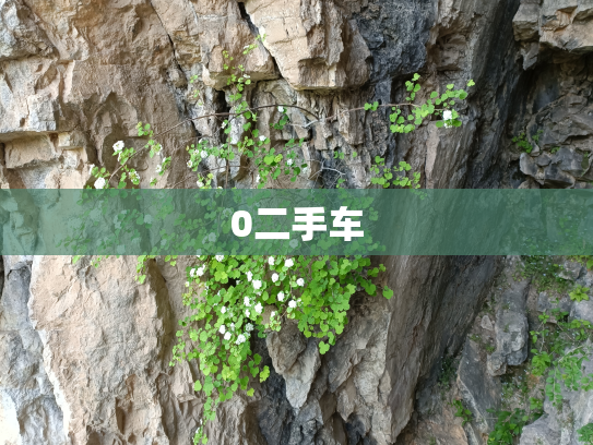 0二手车