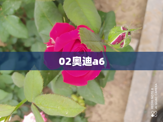 02奥迪a6