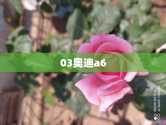 03奥迪a6