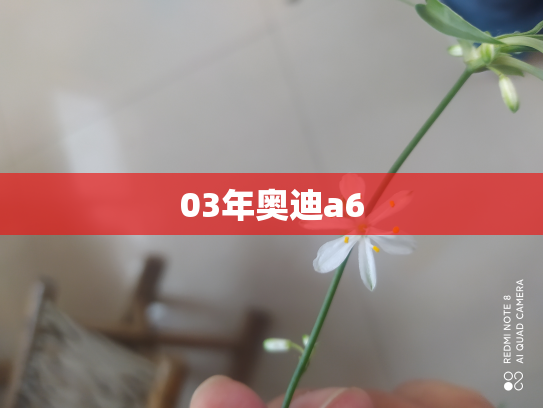 03年奥迪a6