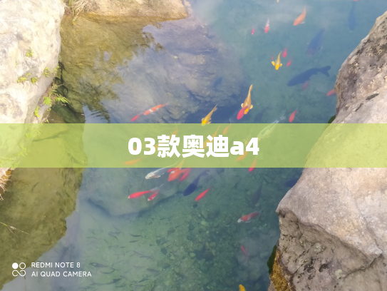 03款奥迪a4