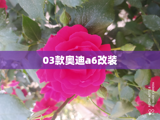 03款奥迪a6改装