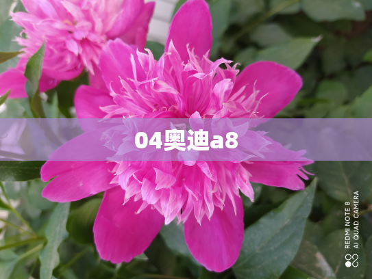 04奥迪a8