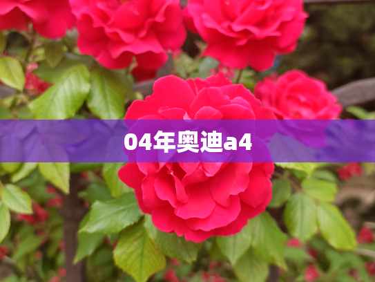 04年奥迪a4