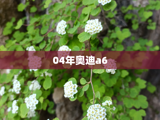 04年奥迪a6