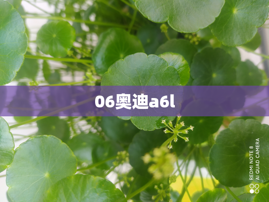 06奥迪a6l