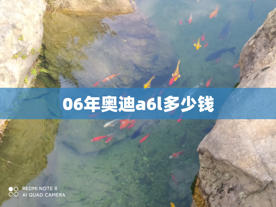 06年奥迪a6l多少钱