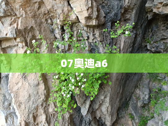 07奥迪a6
