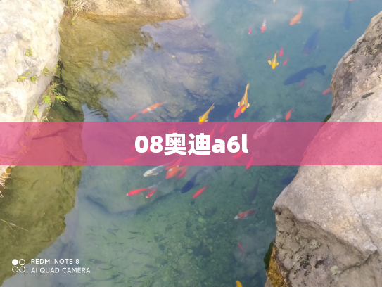 08奥迪a6l