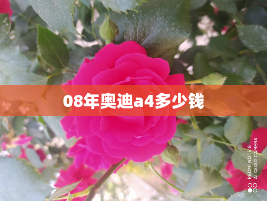 08年奥迪a4多少钱