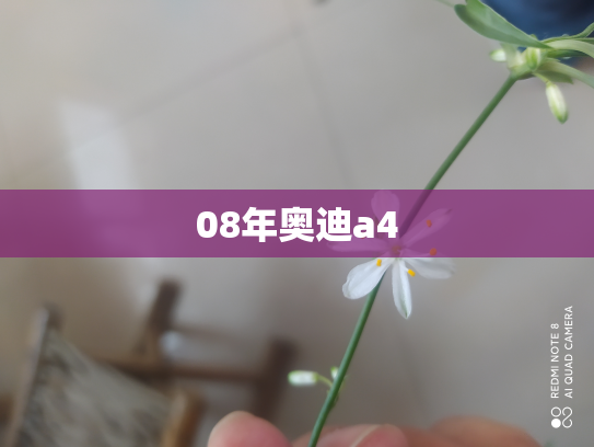 08年奥迪a4
