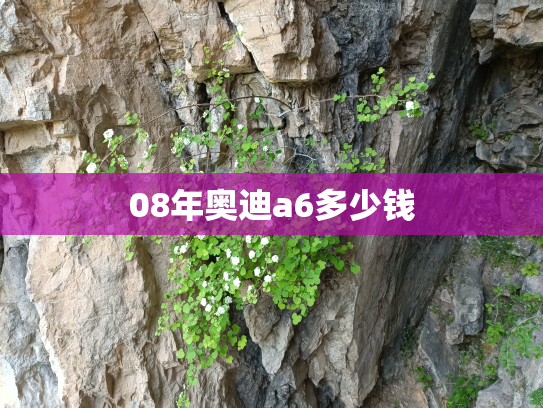 08年奥迪a6多少钱