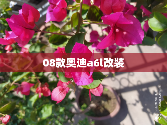 08款奥迪a6l改装