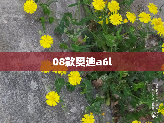 08款奥迪a6l