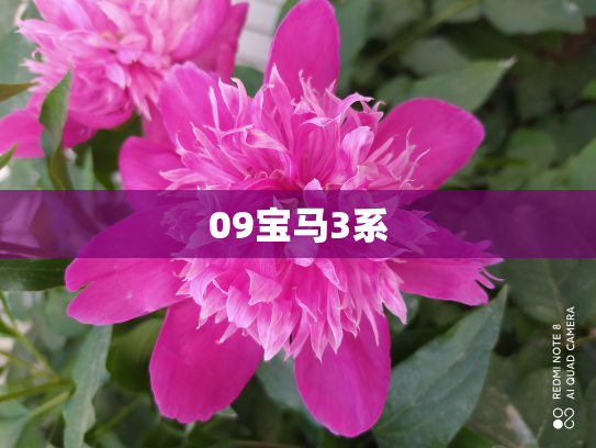 09宝马3系