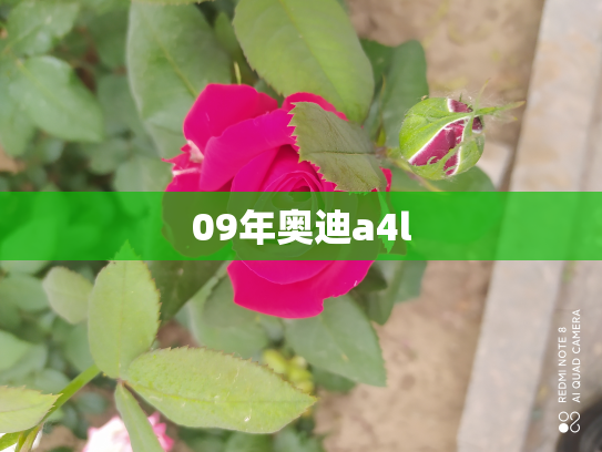 09年奥迪a4l