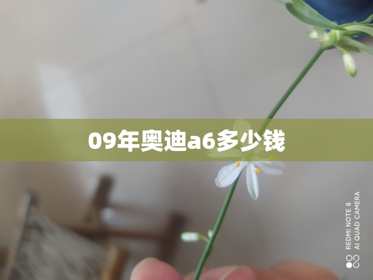 09年奥迪a6多少钱