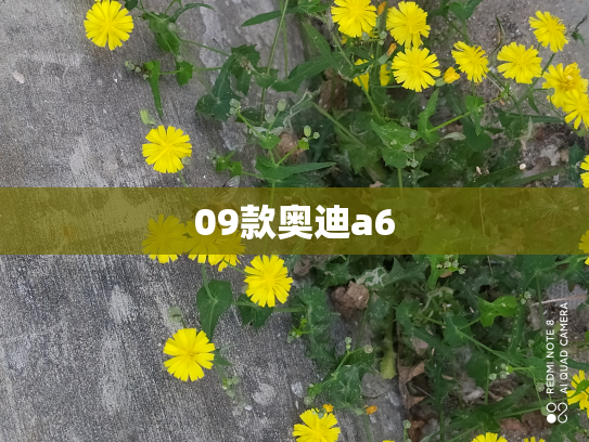 09款奥迪a6