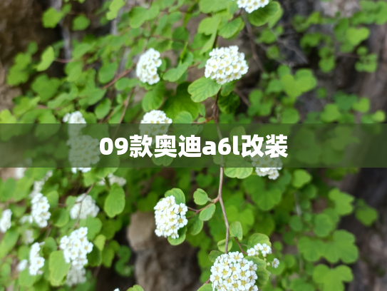 09款奥迪a6l改装