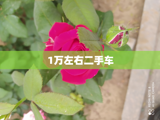 1万左右二手车
