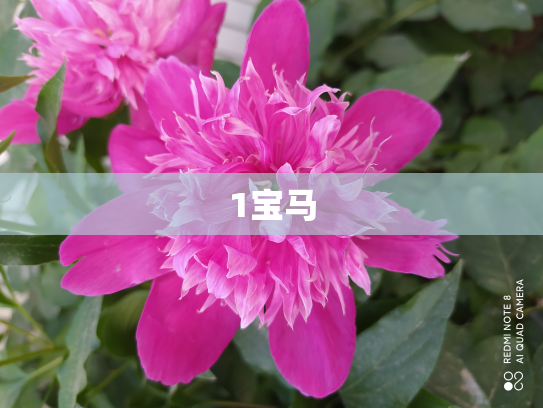 1宝马