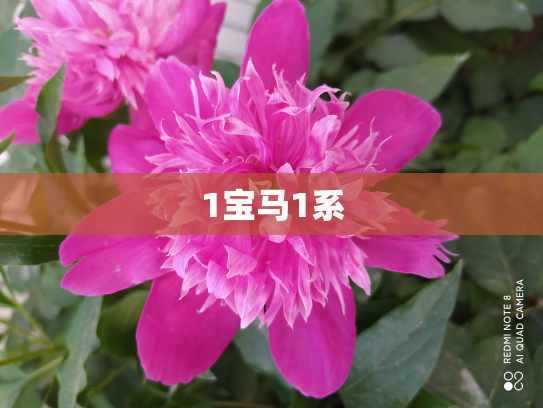 1宝马1系