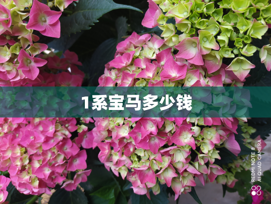 1系宝马多少钱