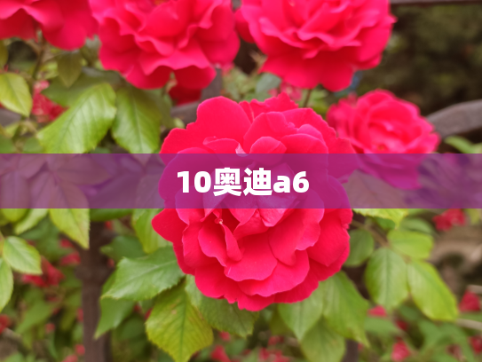 10奥迪a6