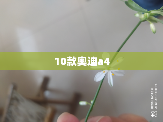 10款奥迪a4