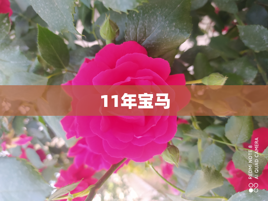 11年宝马