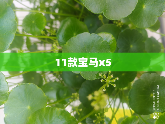 11款宝马x5