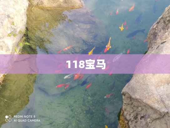 118宝马