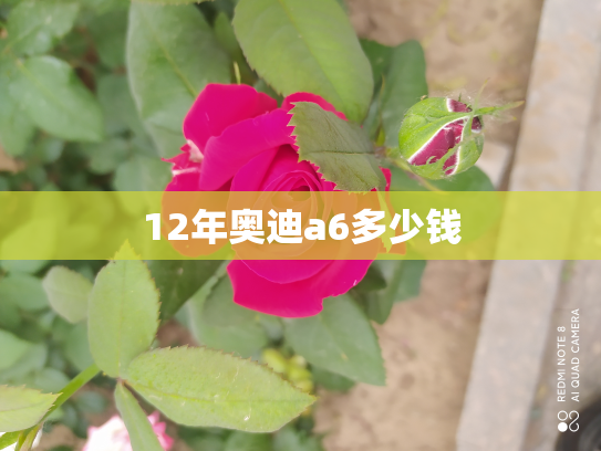 12年奥迪a6多少钱