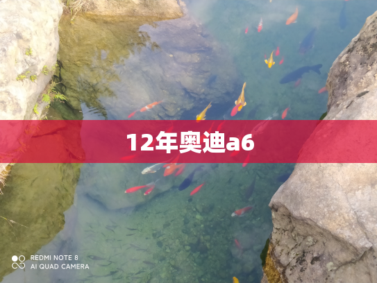12年奥迪a6