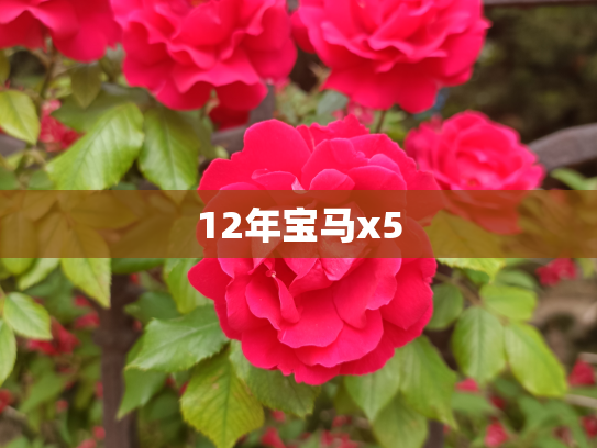 12年宝马x5