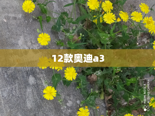 12款奥迪a3