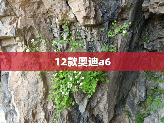 12款奥迪a6