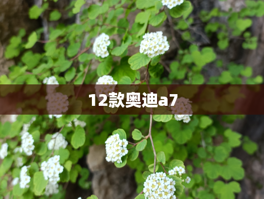 12款奥迪a7