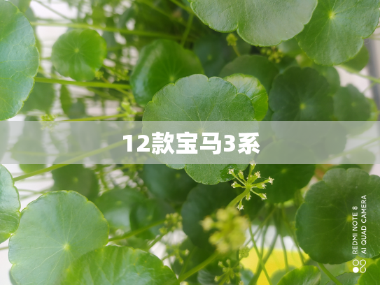 12款宝马3系