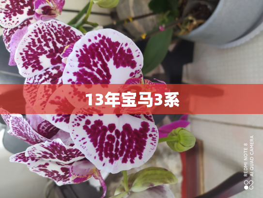 13年宝马3系