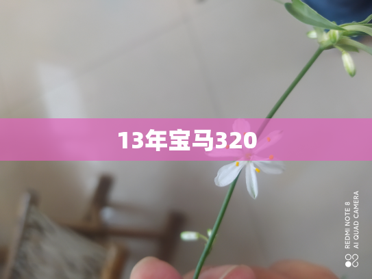 13年宝马320