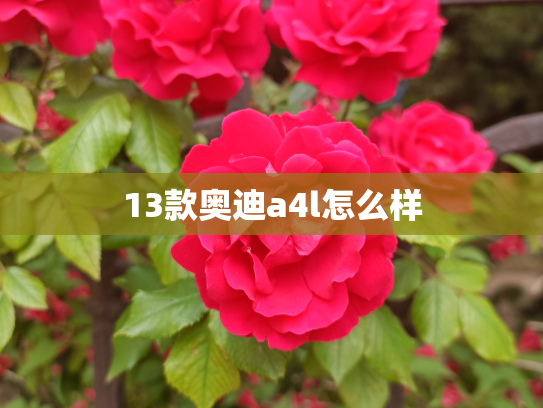 13款奥迪a4l怎么样