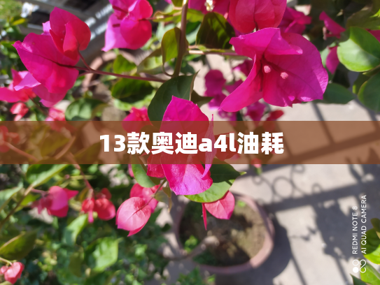 13款奥迪a4l油耗