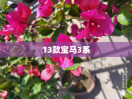 13款宝马3系