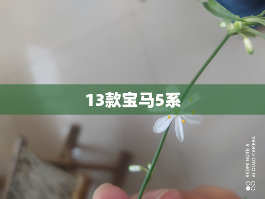 13款宝马5系